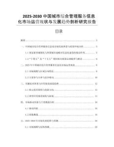 2025-2030中國城市綜合管理服務(wù)信息化市場運(yùn)營現(xiàn)狀與發(fā)展趨勢(shì)剖析研究報(bào)告 (2)