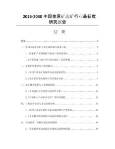 2025-2030中國金原礦選礦行業(yè)最新度研究報告