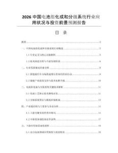2026中國(guó)電池組化成和分級(jí)系統(tǒng)行業(yè)應(yīng)用狀況與投資前景預(yù)測(cè)報(bào)告