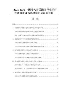 2025-2030中國油氣開采服務(wù)行業(yè)經(jīng)營發(fā)展分析及市場供給趨勢研究報告