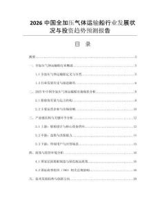 2026中國全加壓氣體運輸船行業發展狀況與投資趨勢預測報告
