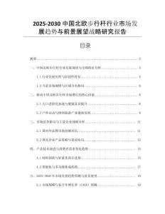 2025-2030中國(guó)北歐步行桿行業(yè)市場(chǎng)發(fā)展趨勢(shì)與前景展望戰(zhàn)略研究報(bào)告
