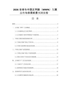 2026全球與中國正丙胺（MNPA）發(fā)展態(tài)勢與供需前景預測報告
