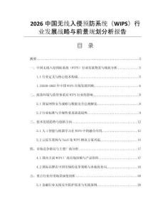 2026中國(guó)無線入侵預(yù)防系統(tǒng)（WIPS）行業(yè)發(fā)展戰(zhàn)略與前景規(guī)劃分析報(bào)告
