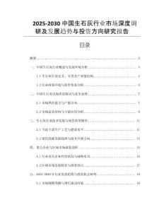 2025-2030中國生石灰行業(yè)市場深度調(diào)研及發(fā)展趨勢與投資方向研究報告