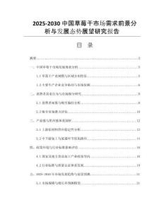 2025-2030中國草莓干市場需求前景分析與發(fā)展態(tài)勢展望研究報(bào)告