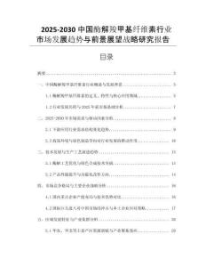2025-2030中國(guó)酶解羧甲基纖維素行業(yè)市場(chǎng)發(fā)展趨勢(shì)與前景展望戰(zhàn)略研究報(bào)告