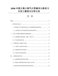 2026中國(guó)工商業(yè)燃?xì)鈭?bào)警器市場(chǎng)需求預(yù)測(cè)及發(fā)展?jié)摿Ψ治鰣?bào)告