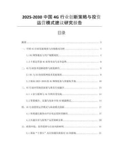 2025-2030中國4G行業(yè)創(chuàng)新策略與投資運營模式建議研究報告