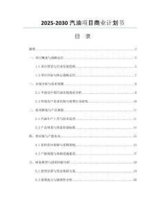 2025-2030汽油項(xiàng)目商業(yè)計(jì)劃書