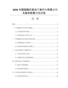 2026中國熔融石英光纖束行業(yè)供需態(tài)勢與盈利前景預測報告