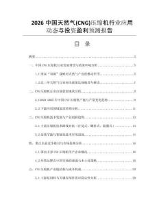 2026中國天然氣(CNG)壓縮機(jī)行業(yè)應(yīng)用動(dòng)態(tài)與投資盈利預(yù)測報(bào)告