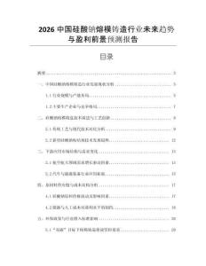 2026中國硅酸鈉熔模鑄造行業(yè)未來趨勢與盈利前景預(yù)測報(bào)告