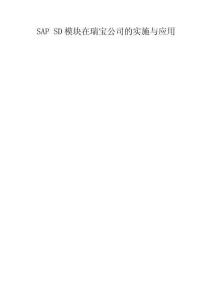 SAP SD模塊在瑞寶公司的實施與應用