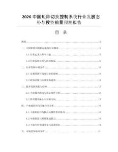 2026中國(guó)矩陣切換控制系統(tǒng)行業(yè)發(fā)展態(tài)勢(shì)與投資前景預(yù)測(cè)報(bào)告