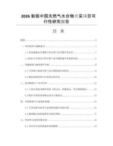 2026新版中國天然氣水合物開采項(xiàng)目可行性研究報(bào)告