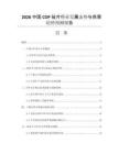 2026中國COP硅片行業(yè)發(fā)展態(tài)勢與供需趨勢預(yù)測報告