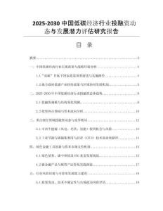 2025-2030中國低碳經(jīng)濟行業(yè)投融資動態(tài)與發(fā)展?jié)摿υu估研究報告