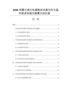 2026中國(guó)電池組化成和分級(jí)系統(tǒng)行業(yè)運(yùn)行狀況與投資前景預(yù)測(cè)報(bào)告