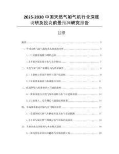 2025-2030中國(guó)天然氣加氣機(jī)行業(yè)深度調(diào)研及投資前景預(yù)測(cè)研究報(bào)告