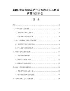 2026中國吹制羊毛行業(yè)盈利動態(tài)與供需前景預測報告