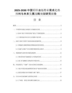 2025-2030中國鉛鋅冶煉行業(yè)需求趨勢預(yù)判與未來發(fā)展戰(zhàn)略規(guī)劃研究報(bào)告