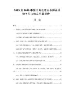 2025至2030中國動力電池回收體系構(gòu)建與經(jīng)濟(jì)效益測算報(bào)告