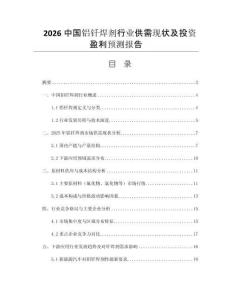 2026中國鋁釬焊劑行業(yè)供需現(xiàn)狀及投資盈利預(yù)測報(bào)告