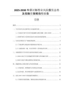 2025-2030牛仔襯衫行業(yè)風險投資態(tài)勢及投融資策略指引報告