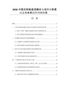 2026中國太陽能直流耦合電池行業(yè)前景動態(tài)與未來趨勢預(yù)測報告