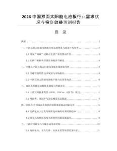 2026中國雙面太陽能電池板行業(yè)需求狀況與投資效益預(yù)測報告
