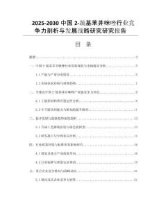 2025-2030中國2-巰基苯并咪唑行業(yè)競爭力剖析與發(fā)展戰(zhàn)略研究研究報告