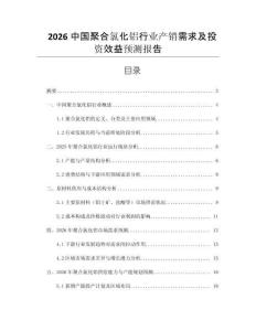 2026中國聚合氯化鋁行業(yè)產銷需求及投資效益預測報告