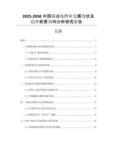2025-2030中國(guó)銅冶煉行業(yè)發(fā)展現(xiàn)狀及趨勢(shì)前景預(yù)判分析研究報(bào)告