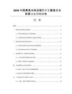 2026中國(guó)黑臭水體治理行業(yè)發(fā)展?jié)摿εc前景動(dòng)態(tài)預(yù)測(cè)報(bào)告