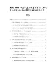 2025-2030中國(guó)芐基三苯基氯化膦（BPP）市場(chǎng)深度調(diào)查與發(fā)展趨勢(shì)研究研究報(bào)告