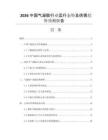 2026中國氣凝膠行業(yè)運(yùn)行態(tài)勢及供需趨勢預(yù)測報(bào)告