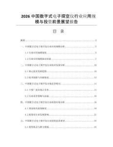 2026中國(guó)數(shù)字式電子探空儀行業(yè)應(yīng)用規(guī)模與投資前景展望報(bào)告