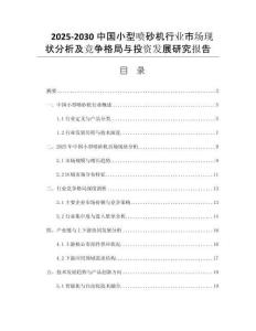 2025-2030中國小型噴砂機(jī)行業(yè)市場現(xiàn)狀分析及競爭格局與投資發(fā)展研究報(bào)告