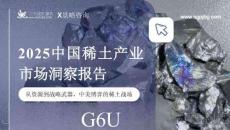 2025中國稀土產(chǎn)業(yè)市場洞察報告 從資源到戰(zhàn)略武器，中美博弈的稀土戰(zhàn)場
