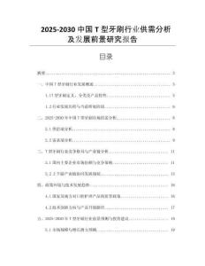 2025-2030中國T型牙刷行業(yè)供需分析及發(fā)展前景研究報(bào)告