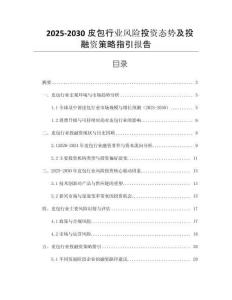 2025-2030皮包行業(yè)風險投資態(tài)勢及投融資策略指引報告