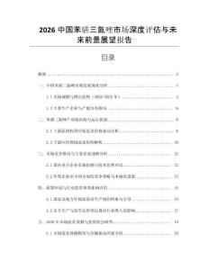 2026中國(guó)苯駢三氮唑市場(chǎng)深度評(píng)估與未來前景展望報(bào)告