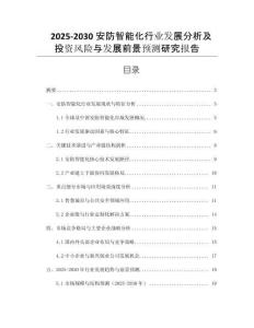 2025-2030安防智能化行業(yè)發(fā)展分析及投資風(fēng)險(xiǎn)與發(fā)展前景預(yù)測(cè)研究報(bào)告