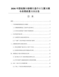 2026中國硅酸鈉熔模鑄造行業(yè)發(fā)展規(guī)模與供需前景預(yù)測報告