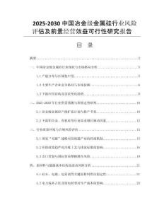 2025-2030中國冶金級金屬硅行業(yè)風(fēng)險評估及前景經(jīng)營效益可行性研究報告