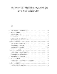 2025-2030中國自動化控制行業(yè)市場現(xiàn)狀供需分析及工業(yè)投資發(fā)展規(guī)劃研究報告