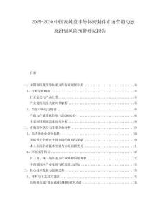 2025-2030中國高純度半導(dǎo)體密封件市場營銷動(dòng)態(tài)及投資風(fēng)險(xiǎn)預(yù)警研究報(bào)告