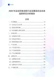 2026年運動風格涼鞋行業發展現狀及未來趨勢研究分析報告