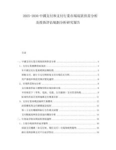 2025-2030中國(guó)支付和支付行業(yè)市場(chǎng)現(xiàn)狀供需分析及投資評(píng)估規(guī)劃分析研究報(bào)告